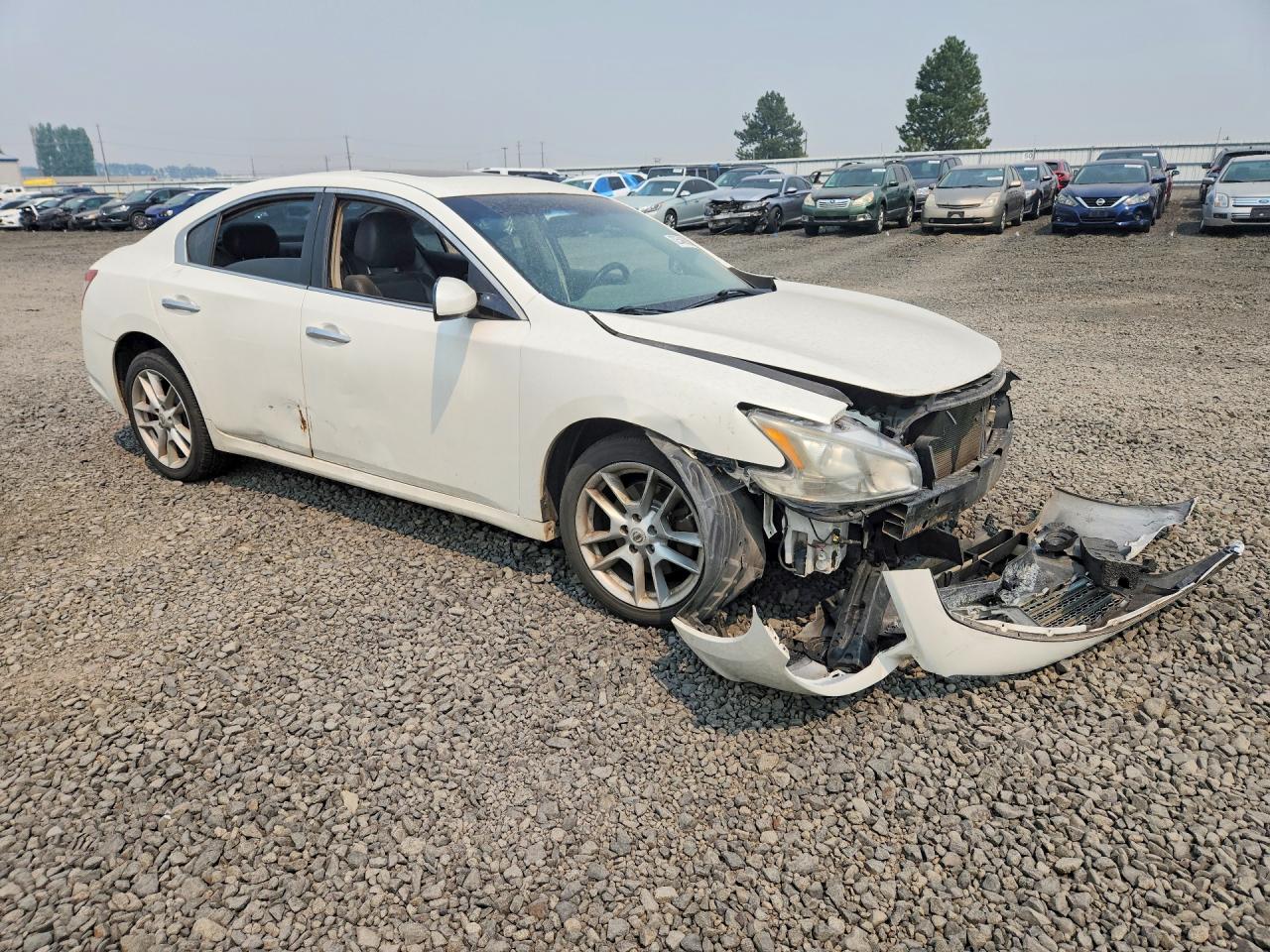 2011 Nissan Maxima 3.5 S Белый vin: 1N4AA5AP9BC819414