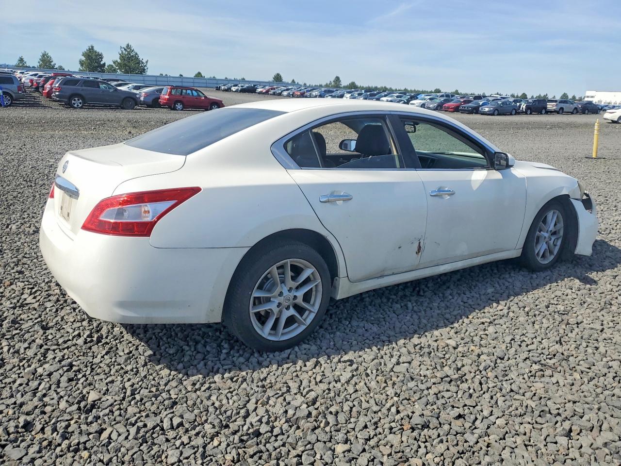 2011 Nissan Maxima 3.5 S Белый vin: 1N4AA5AP9BC819414