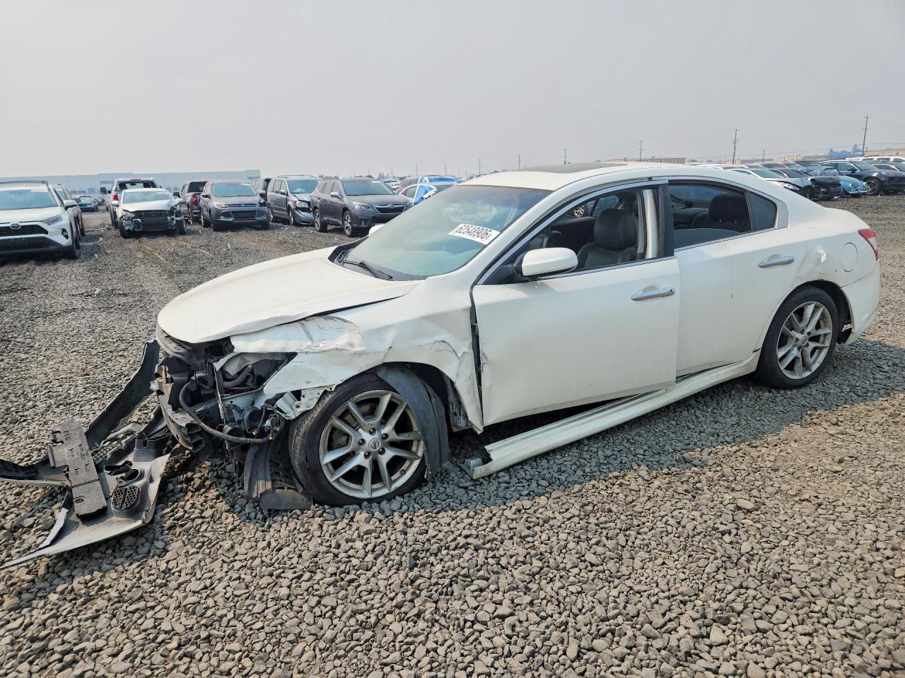 2011 Nissan Maxima 3.5 S Белый vin: 1N4AA5AP9BC819414