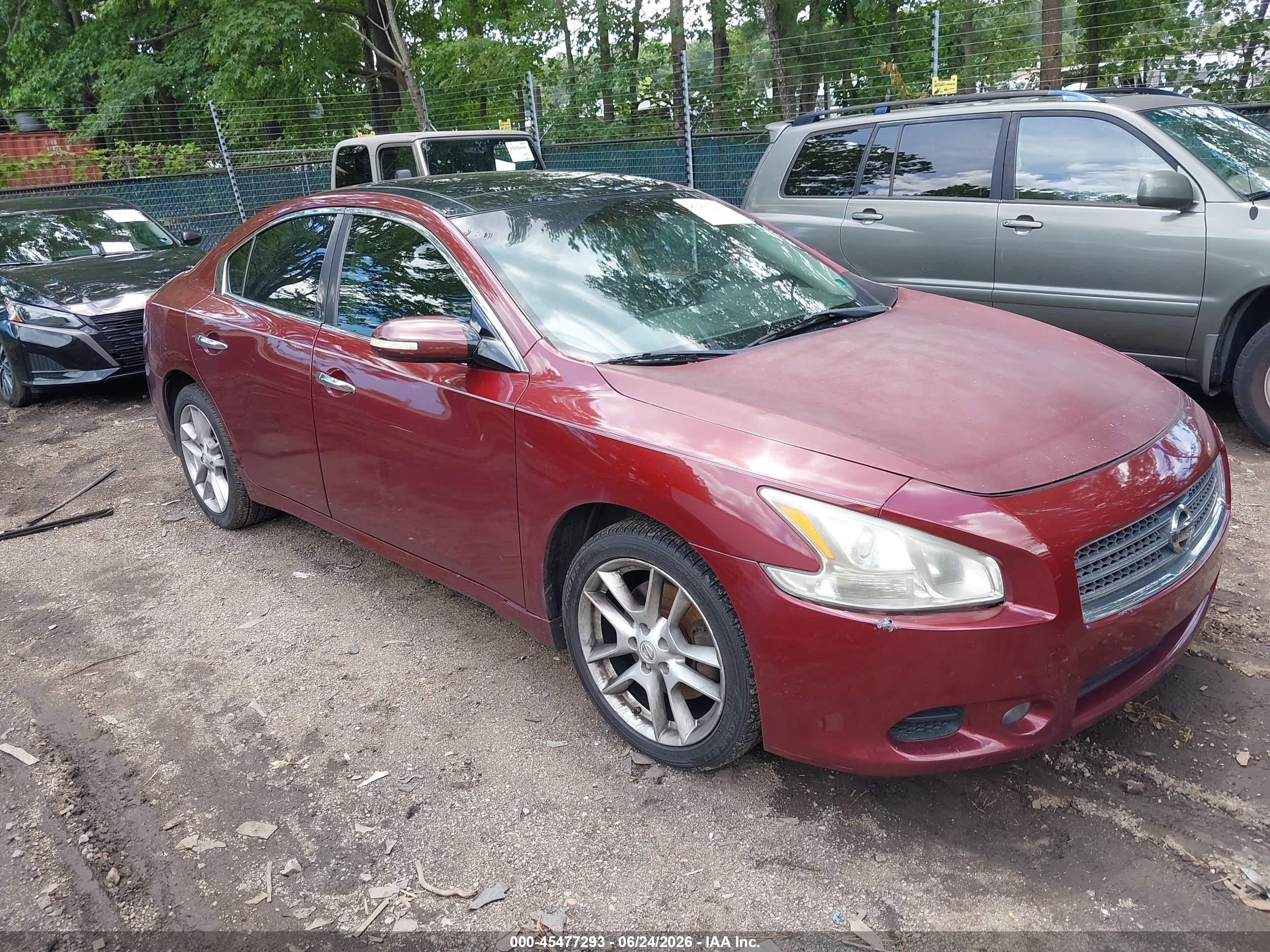 2011 Nissan Maxima 3.5 Sv Maroon vin: 1N4AA5AP9BC825844