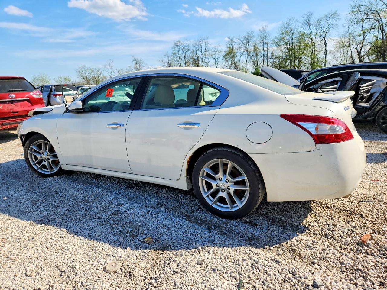 2011 Nissan Maxima 3.5 S White vin: 1N4AA5AP9BC834656