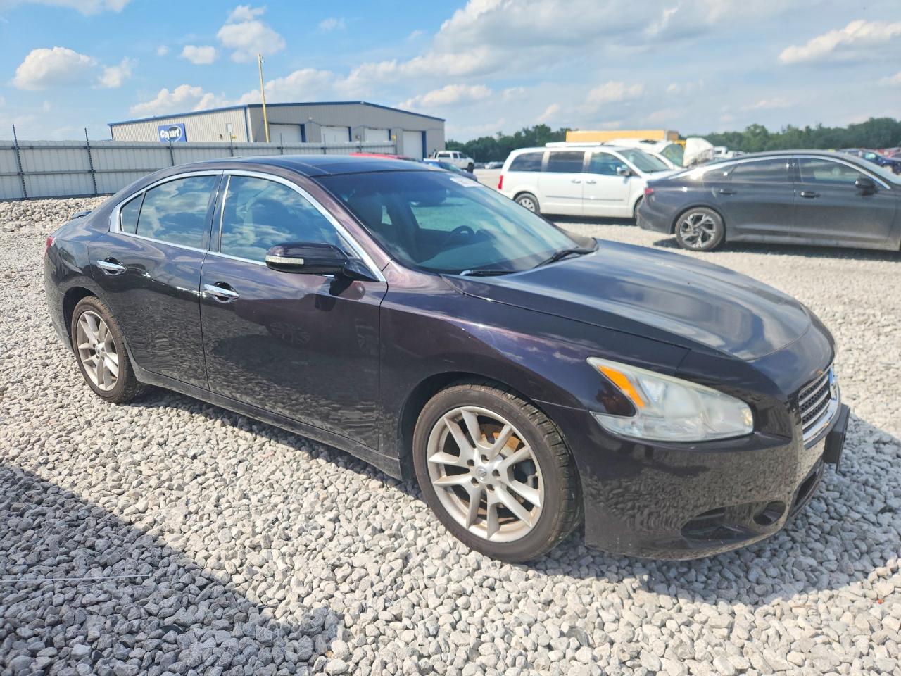 2011 Nissan Maxima 3.5 S Purple vin: 1N4AA5AP9BC850422