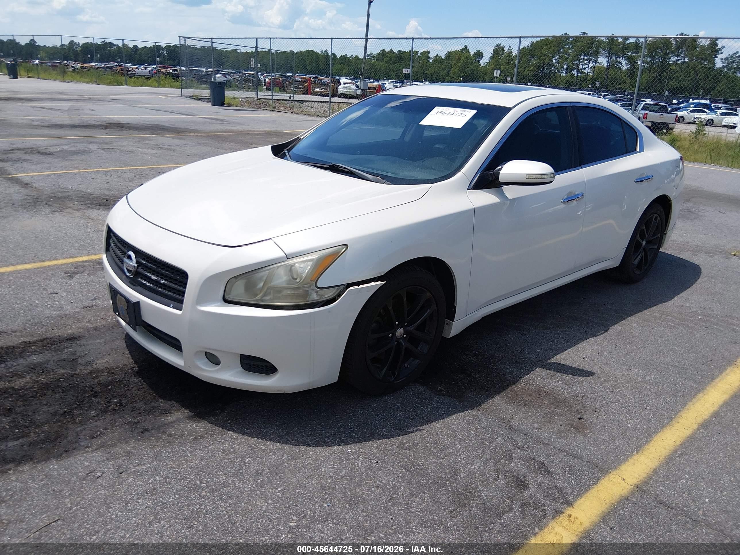 2011 Nissan Maxima 3.5 Sv Белый vin: 1N4AA5AP9BC859007