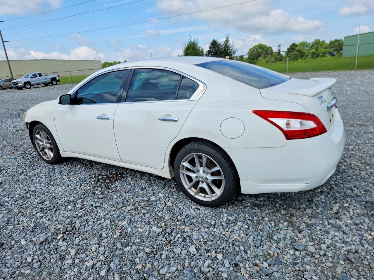 2011 Nissan Maxima 3.5 S Белый vin: 1N4AA5AP9BC862649
