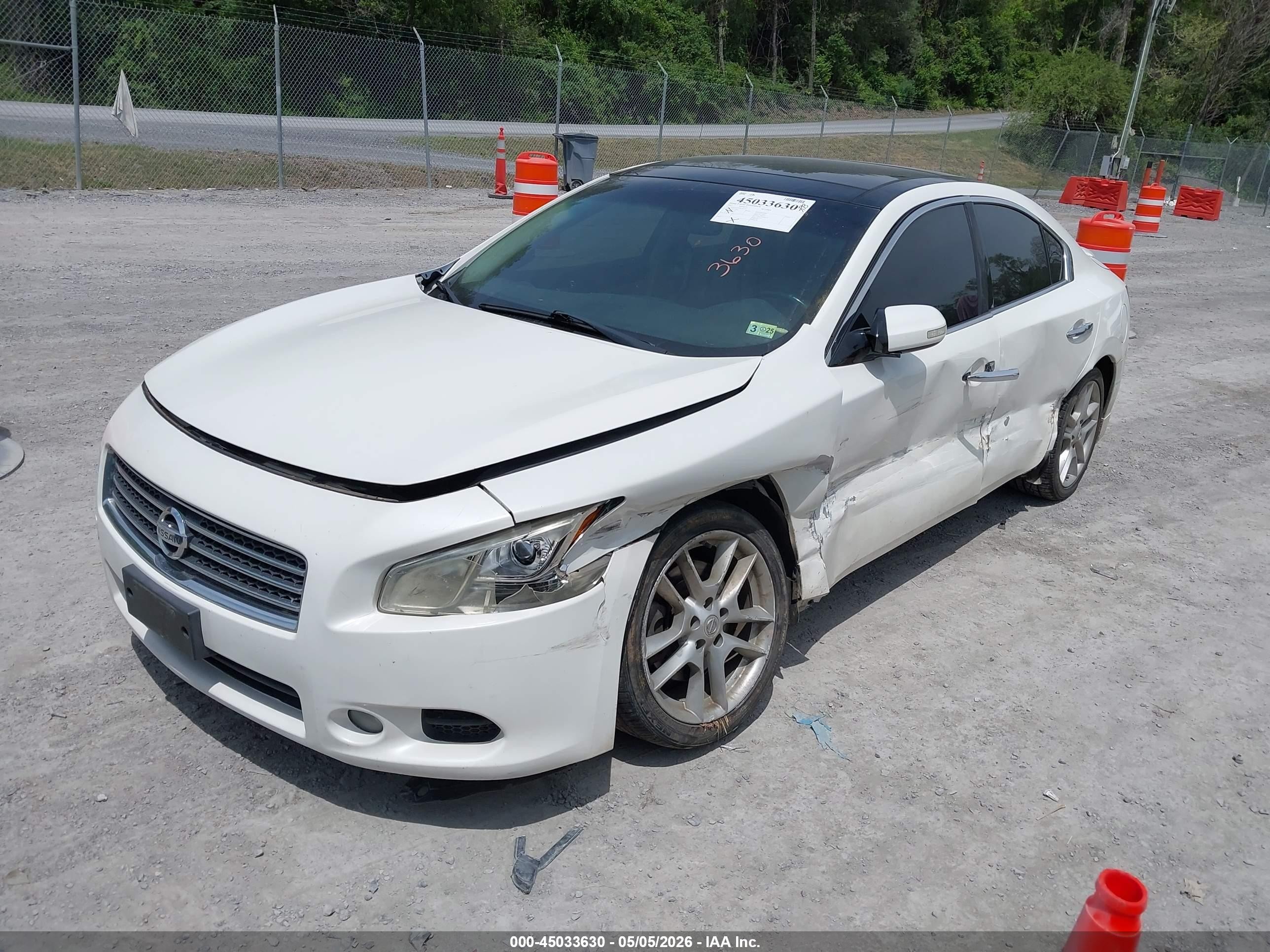 2011 Nissan Maxima 3.5 Sv White vin: 1N4AA5AP9BC862747