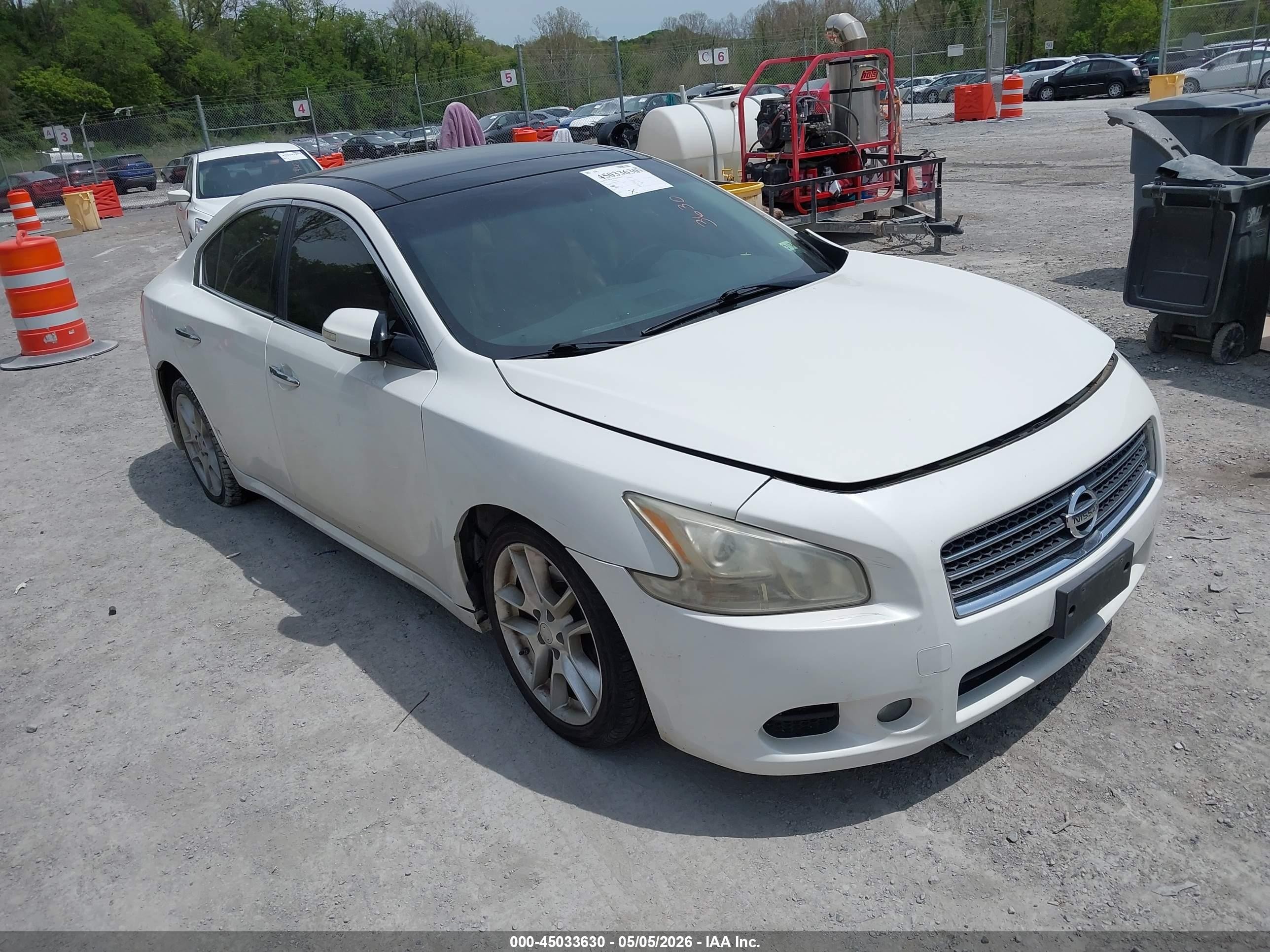 2011 Nissan Maxima 3.5 Sv Белый vin: 1N4AA5AP9BC862747