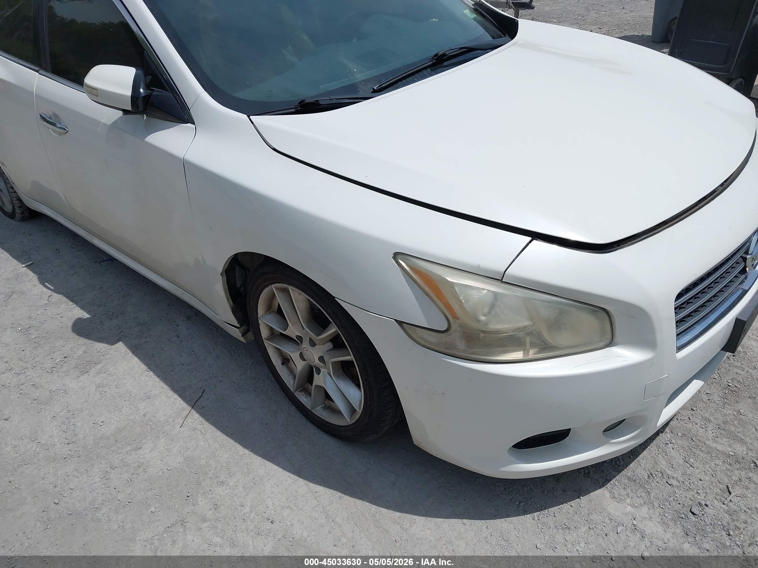 2011 Nissan Maxima 3.5 Sv White vin: 1N4AA5AP9BC862747
