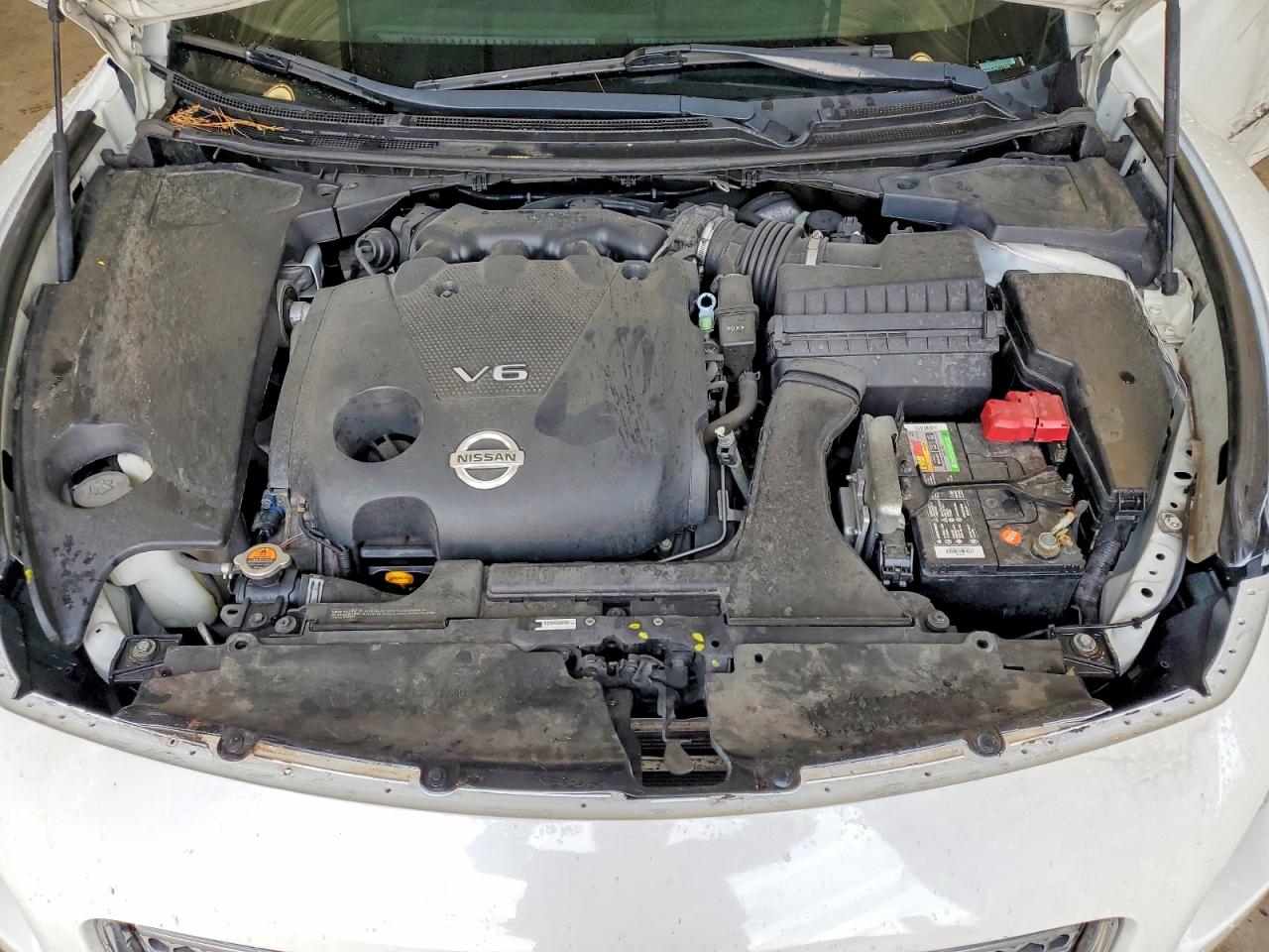 2014 Nissan Maxima 3.5 Sv Белый vin: 1N4AA5AP9EC910283