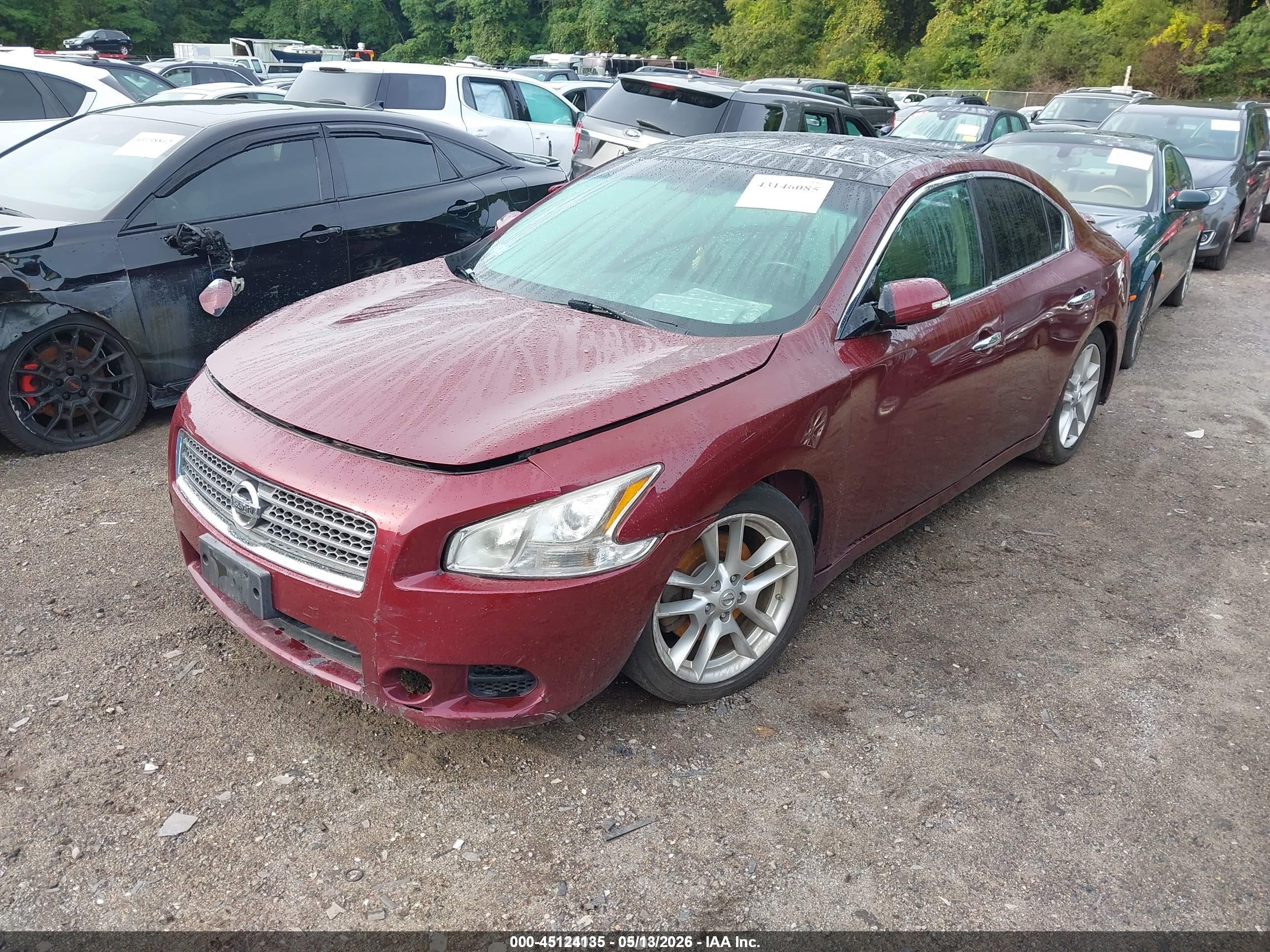 2010 Nissan Maxima 3.5 Sv Red vin: 1N4AA5APXAC803947