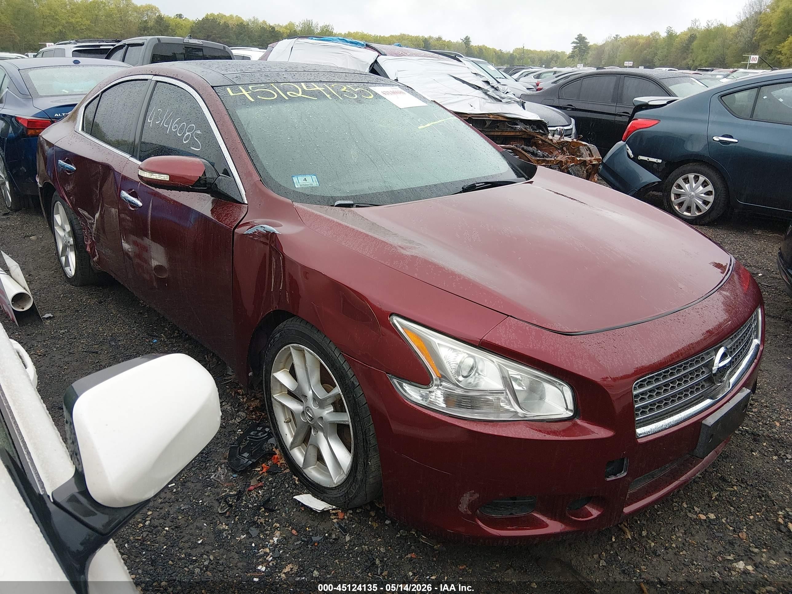 2010 Nissan Maxima 3.5 Sv Красный vin: 1N4AA5APXAC803947