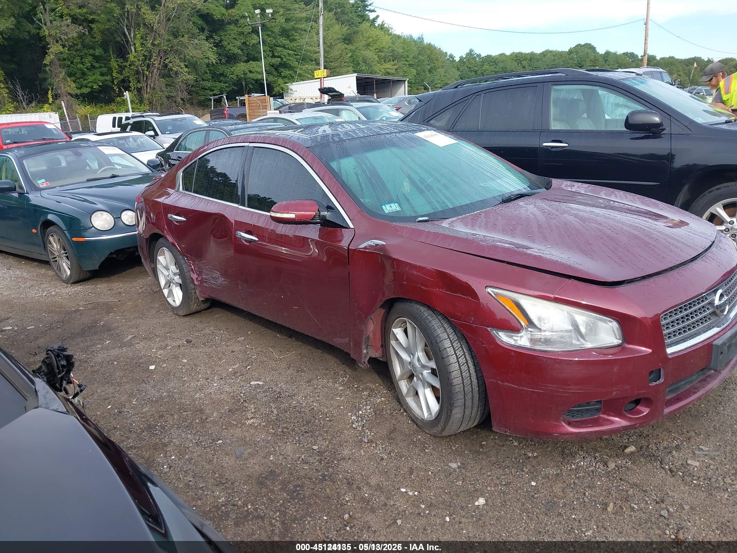 2010 Nissan Maxima 3.5 Sv Red vin: 1N4AA5APXAC803947