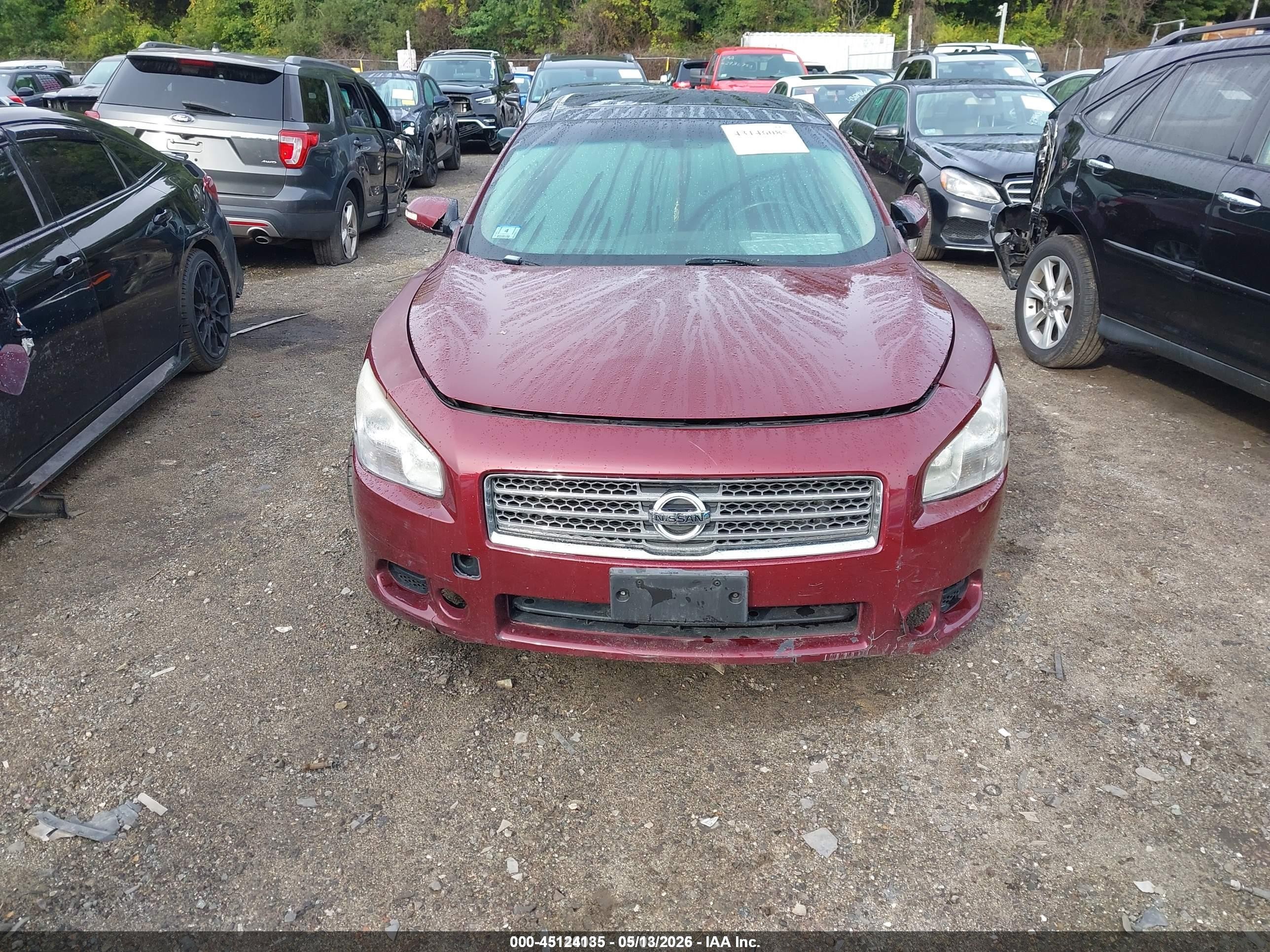 2010 Nissan Maxima 3.5 Sv Red vin: 1N4AA5APXAC803947
