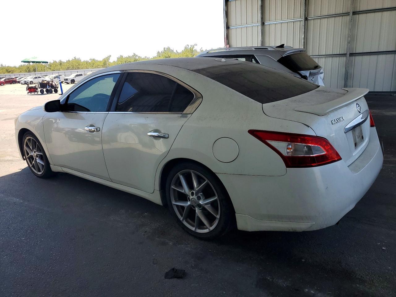 2010 Nissan Maxima 3.5 S White vin: 1N4AA5APXAC821168