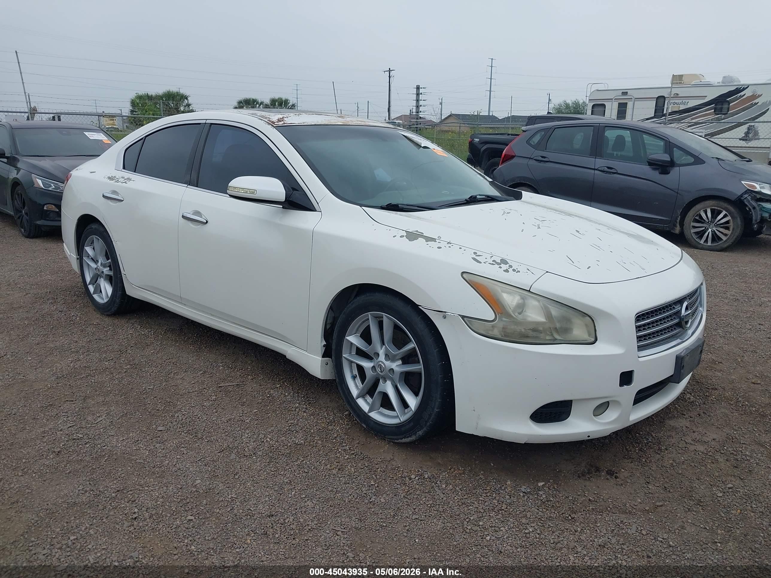 2010 Nissan Maxima 3.5 Sv White vin: 1N4AA5APXAC833966