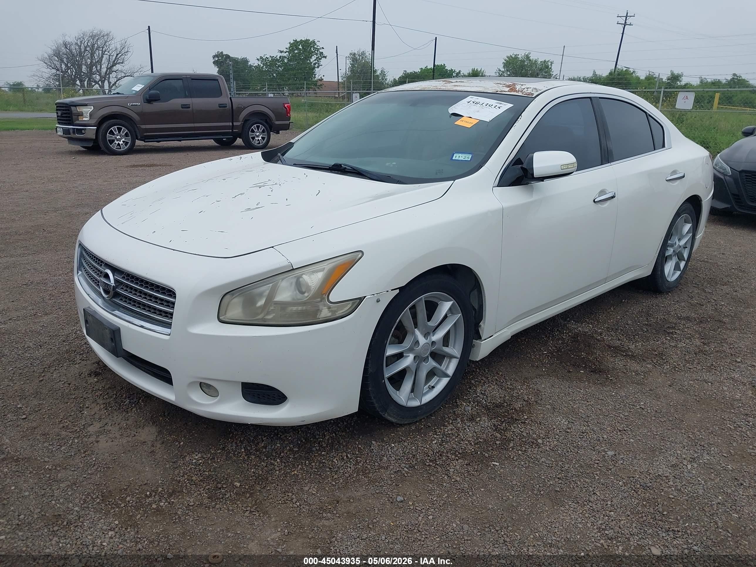 2010 Nissan Maxima 3.5 Sv White vin: 1N4AA5APXAC833966