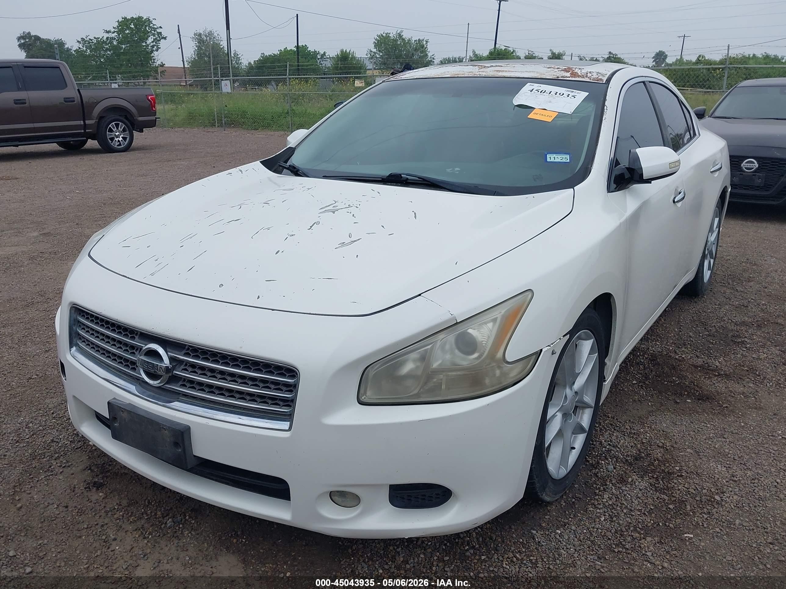 2010 Nissan Maxima 3.5 Sv White vin: 1N4AA5APXAC833966