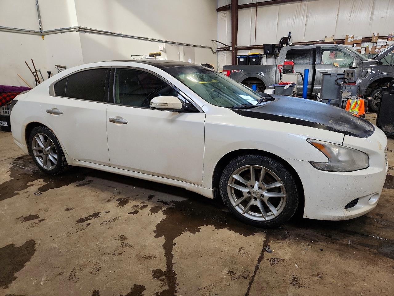 2010 Nissan Maxima S Two Tone vin: 1N4AA5APXAC838004