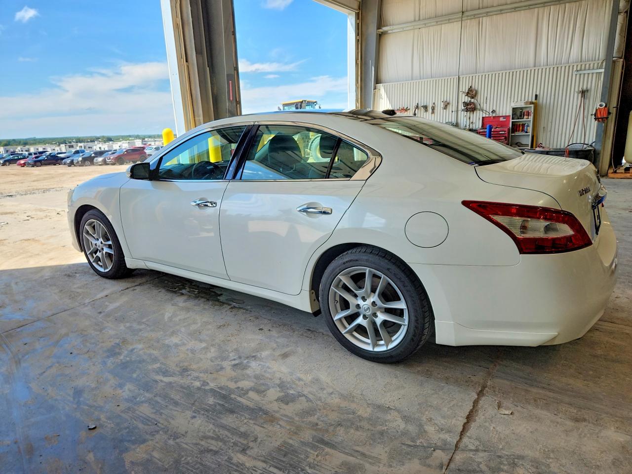 2010 Nissan Maxima 3.5 S White vin: 1N4AA5APXAC851819