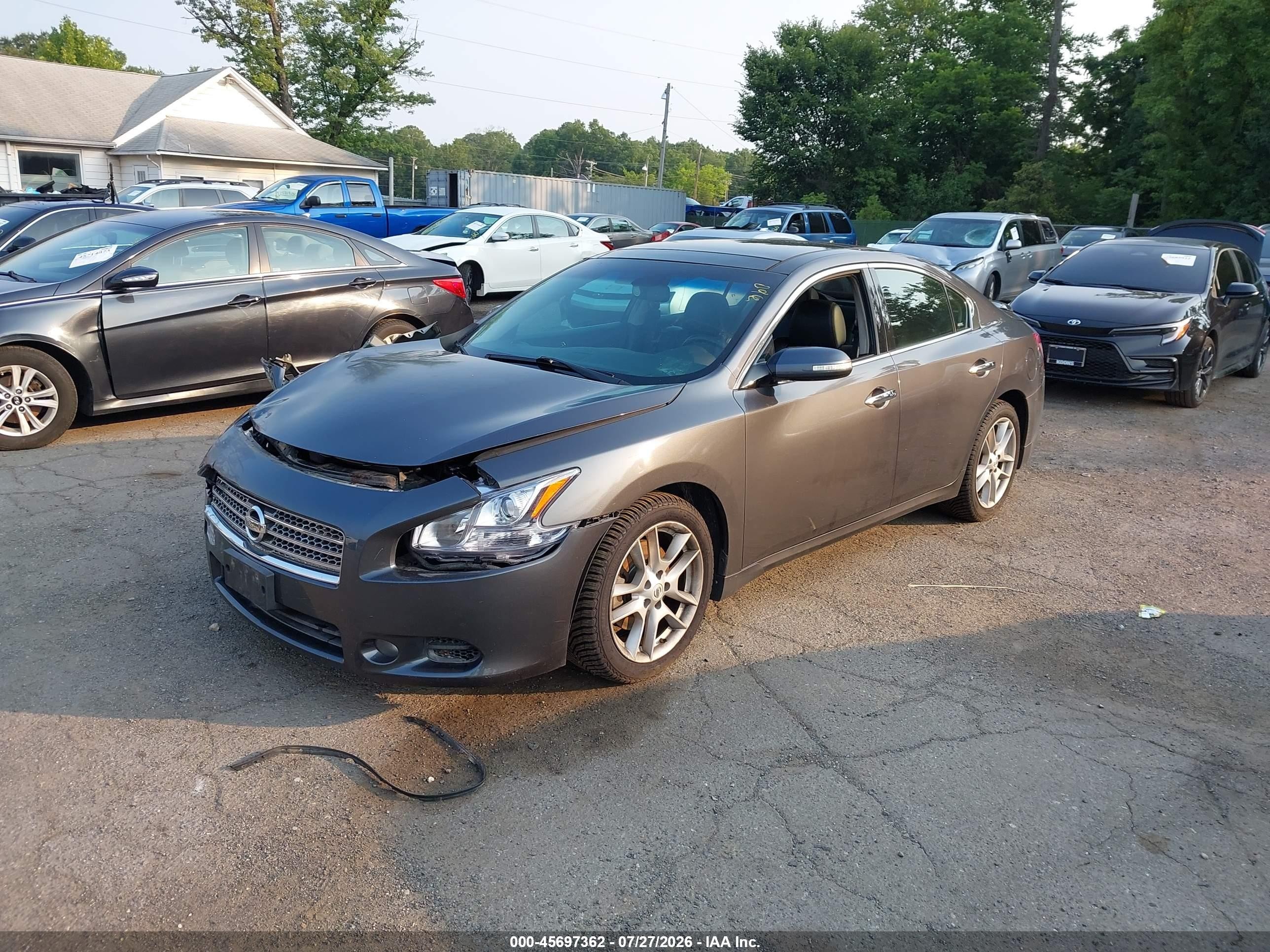 2010 Nissan Maxima 3.5 Sv Gray vin: 1N4AA5APXAC862254