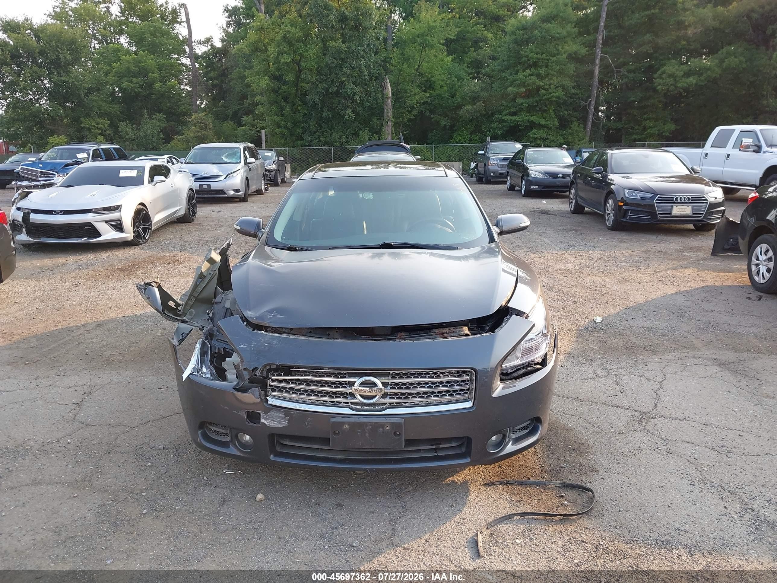 2010 Nissan Maxima 3.5 Sv Серый vin: 1N4AA5APXAC862254