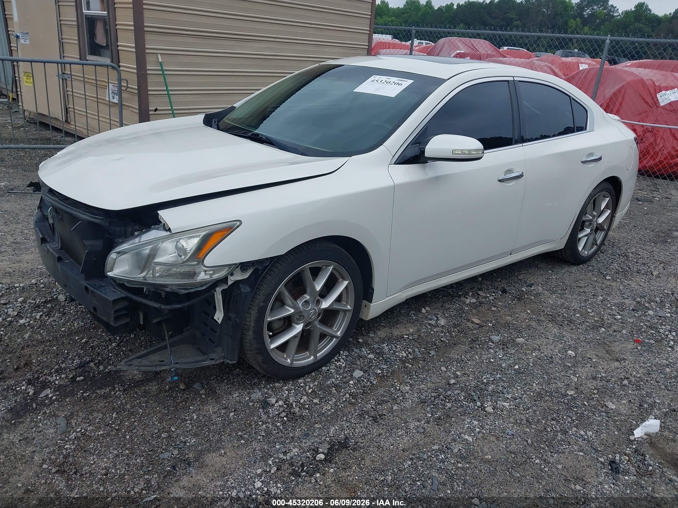 2010 Nissan Maxima 3.5 Sv Белый vin: 1N4AA5APXAC874906