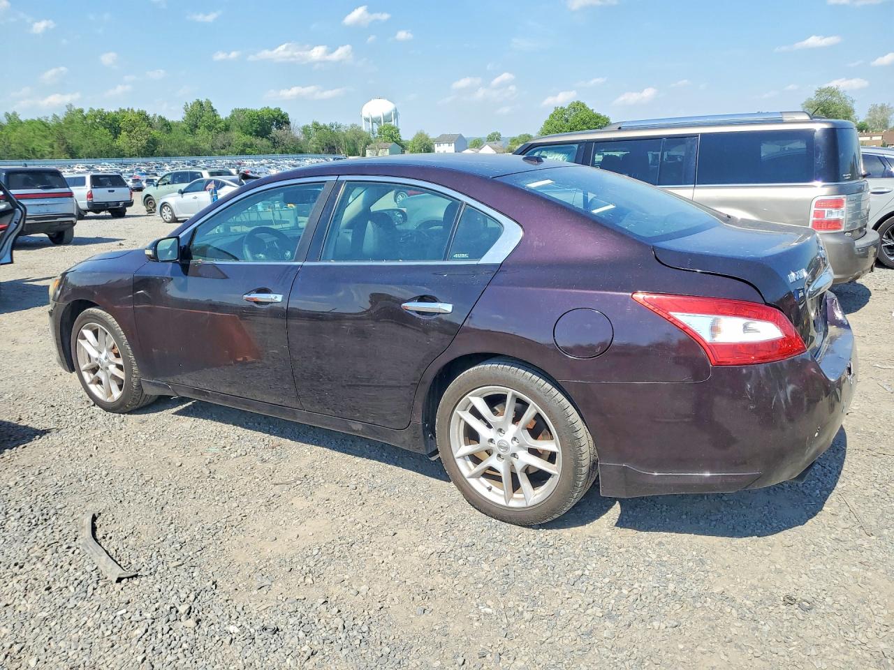 2011 Nissan Maxima 3.5 S Фиолетовый vin: 1N4AA5APXBC831734