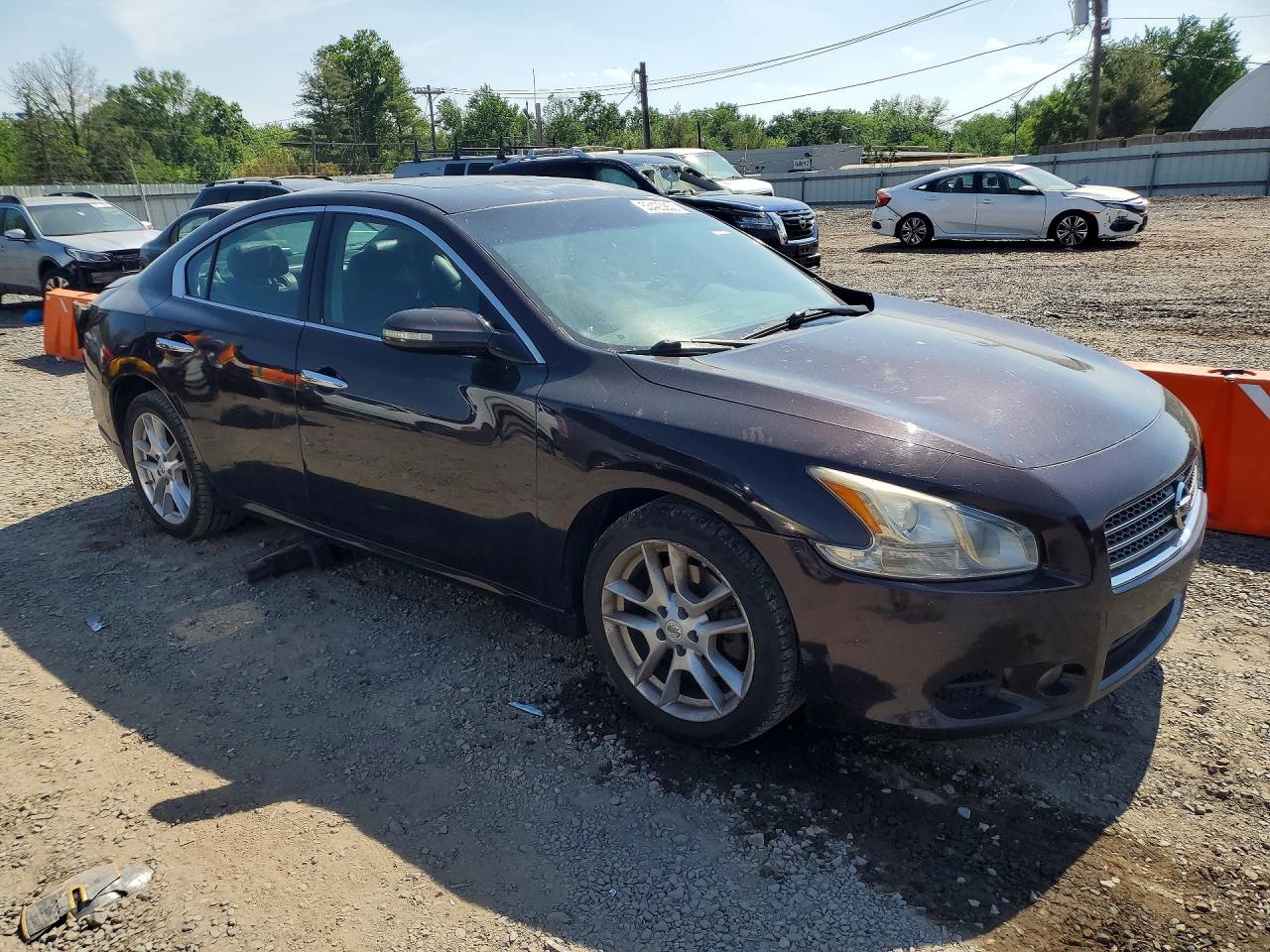 2011 Nissan Maxima 3.5 S Фиолетовый vin: 1N4AA5APXBC831734