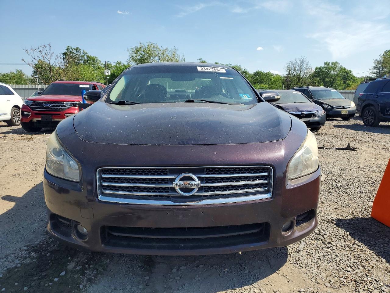 2011 Nissan Maxima 3.5 S Фиолетовый vin: 1N4AA5APXBC831734