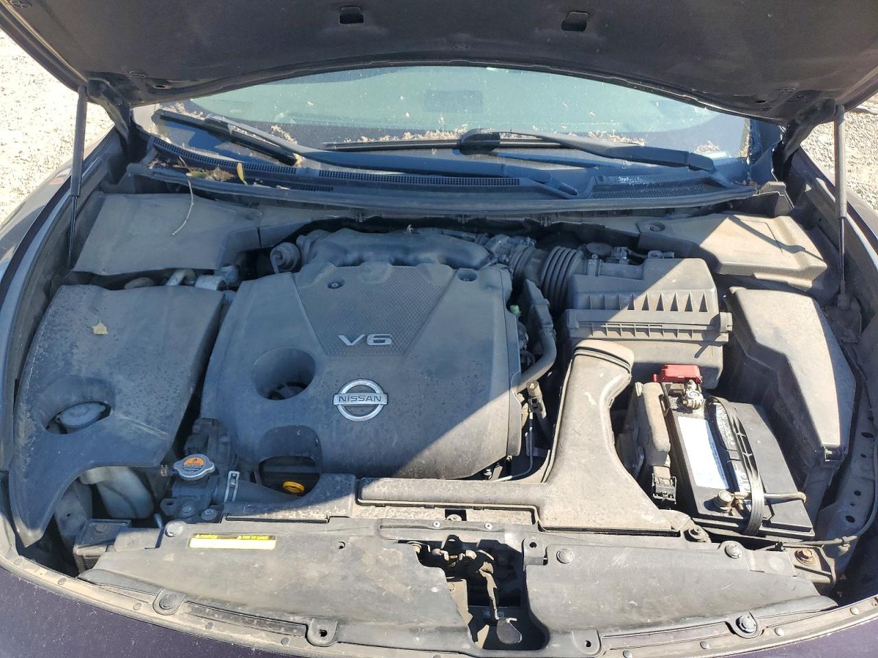 2011 Nissan Maxima 3.5 S Фиолетовый vin: 1N4AA5APXBC831734