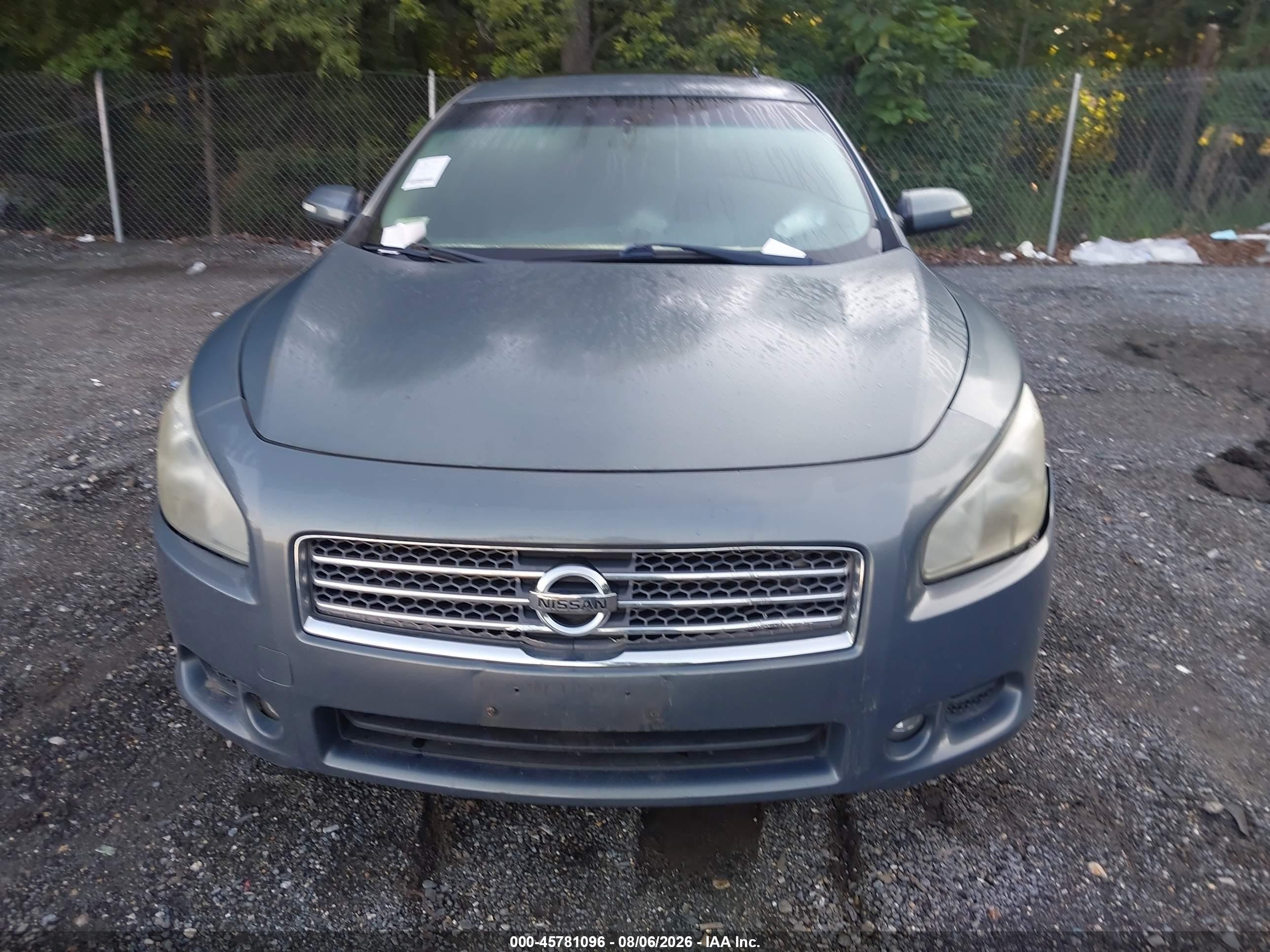 2011 Nissan Maxima 3.5 Sv Серый vin: 1N4AA5APXBC860408