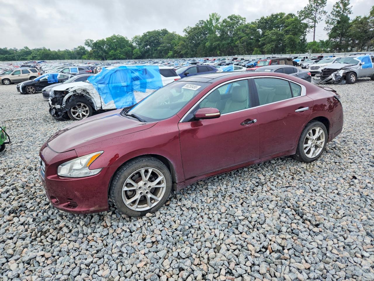2012 Nissan Maxima 3.5 S Burgundy vin: 1N4AA5APXCC859793