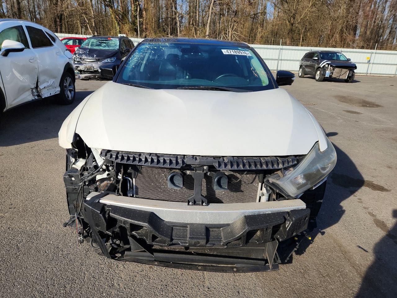 2016 Nissan Maxima Platinum White vin: 1N4AA6AP2GC413181