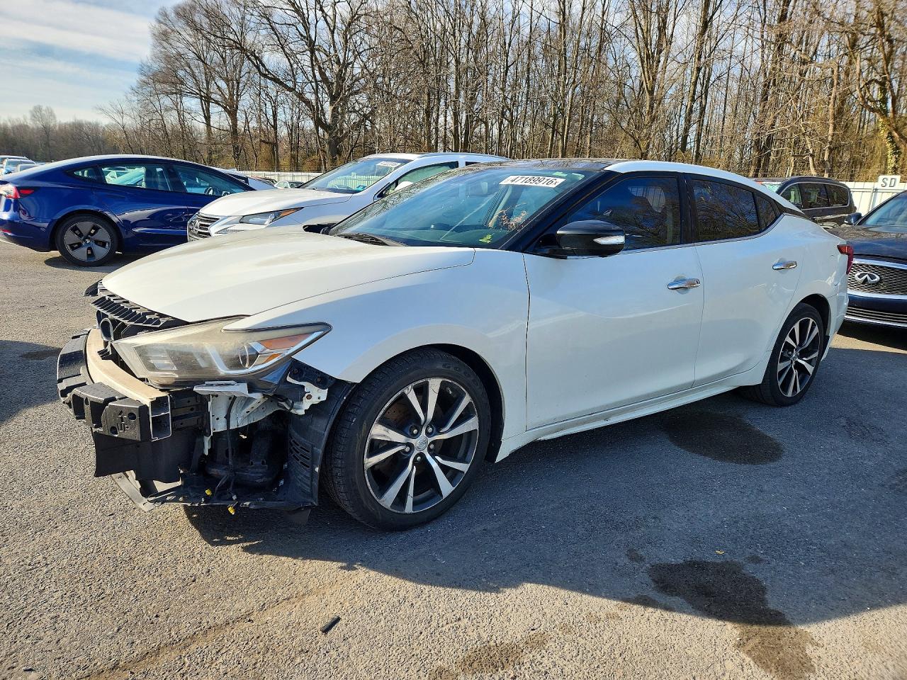 2016 Nissan Maxima Platinum White vin: 1N4AA6AP2GC413181