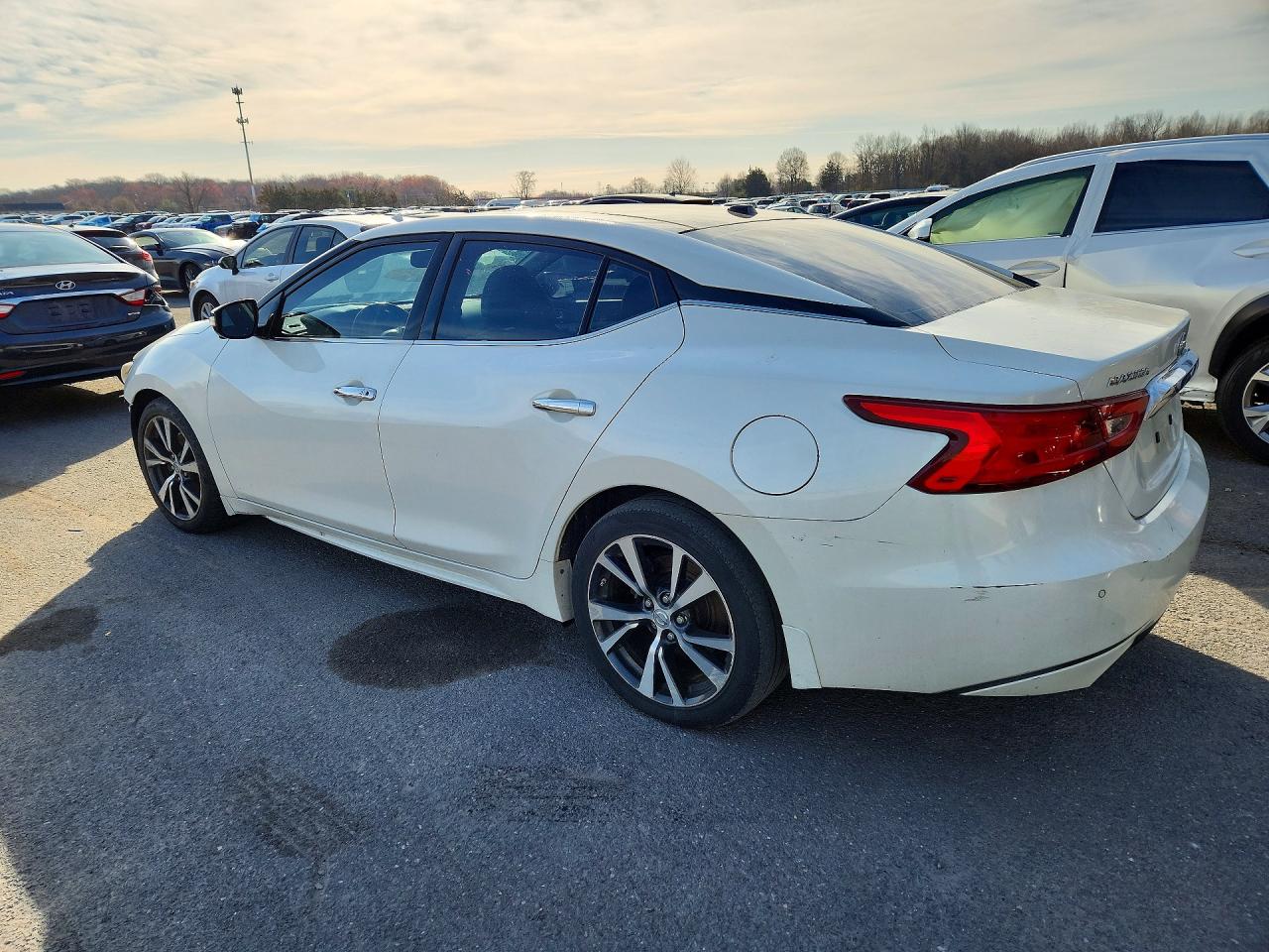 2016 Nissan Maxima Platinum White vin: 1N4AA6AP2GC413181