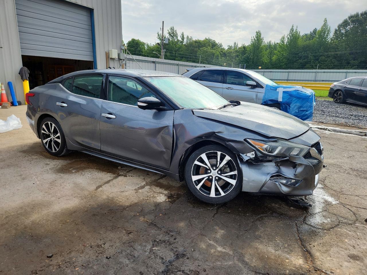2017 Nissan Maxima Platinum Серый vin: 1N4AA6AP4HC454963