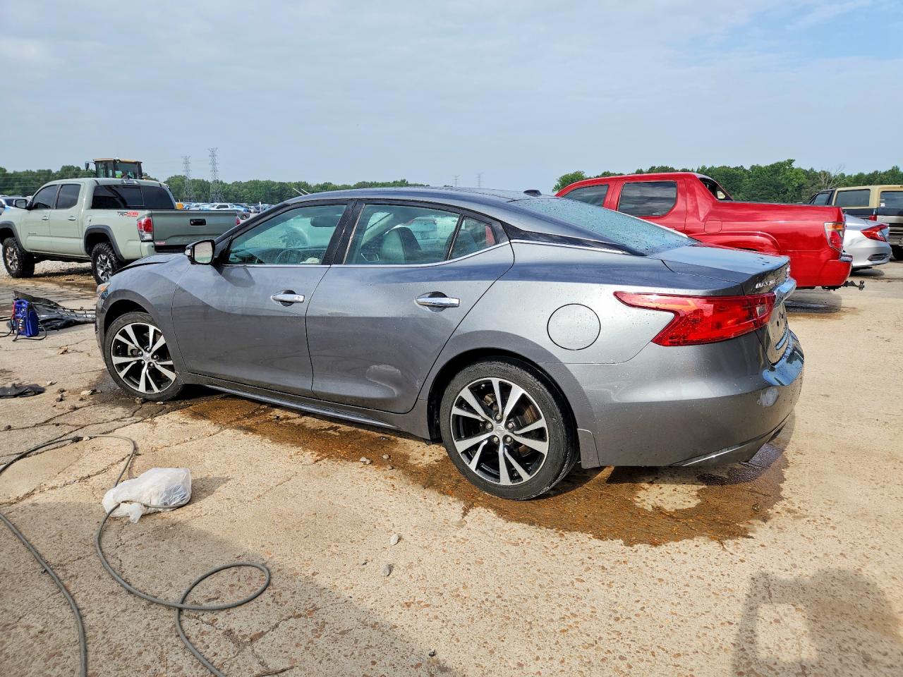 2017 Nissan Maxima Platinum Серый vin: 1N4AA6AP4HC454963