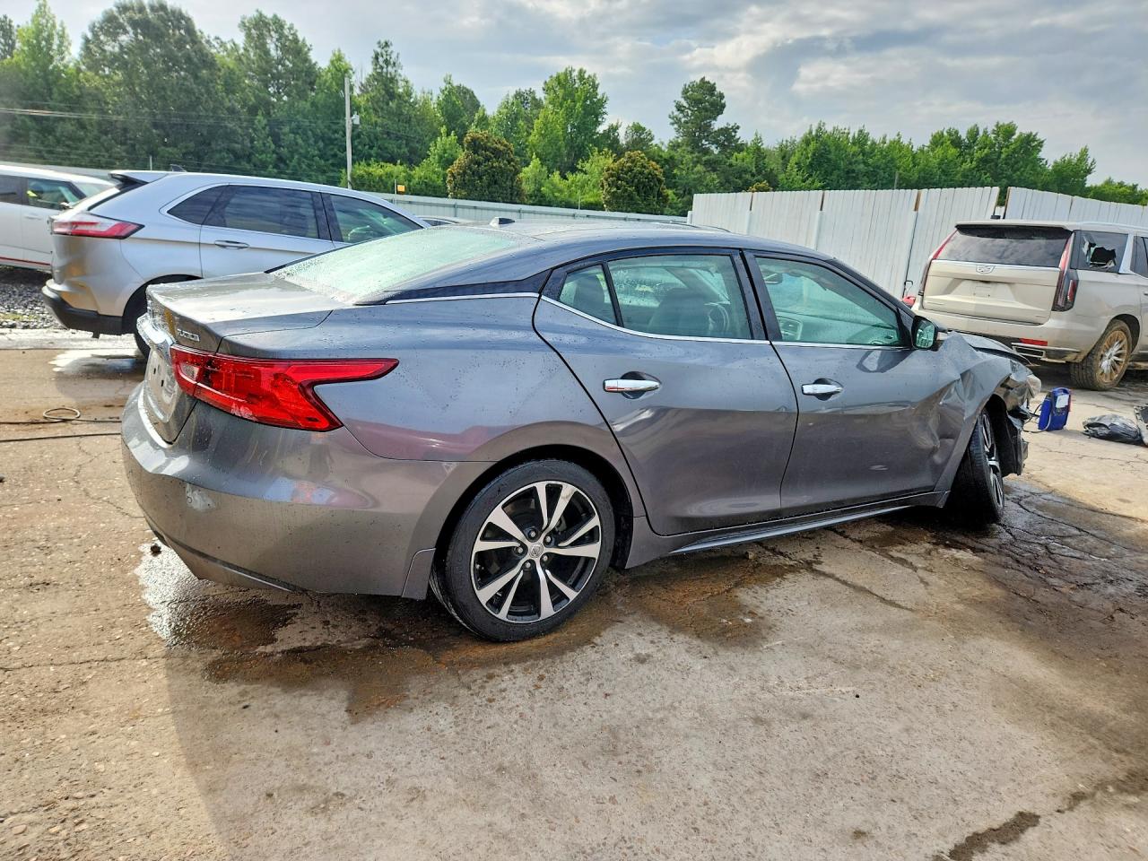 2017 Nissan Maxima Platinum Серый vin: 1N4AA6AP4HC454963