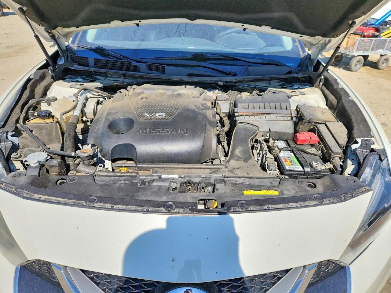 2016 Nissan Maxima Platinum White vin: 1N4AA6AP5GC385795