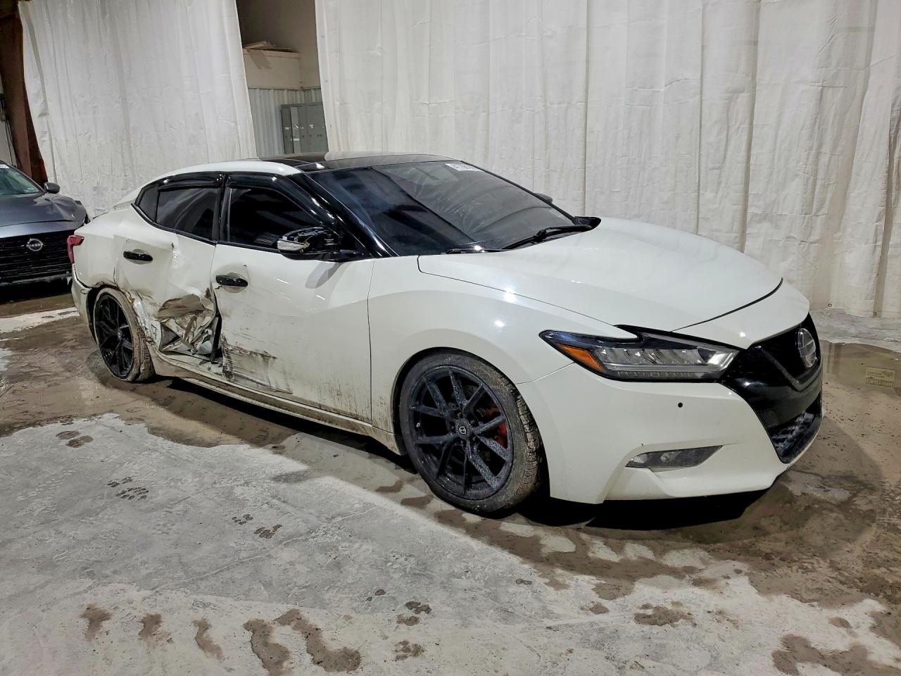 2016 Nissan Maxima 3.5 Sl White vin: 1N4AA6AP5GC397669