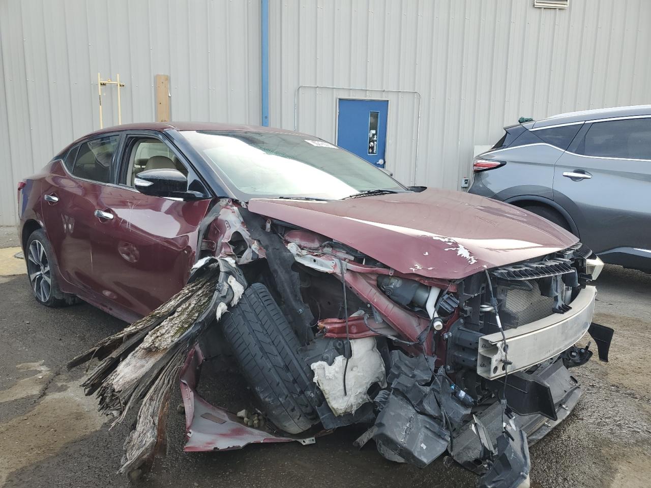 2017 Nissan Maxima 3.5s Maroon vin: 1N4AA6APXHC365530