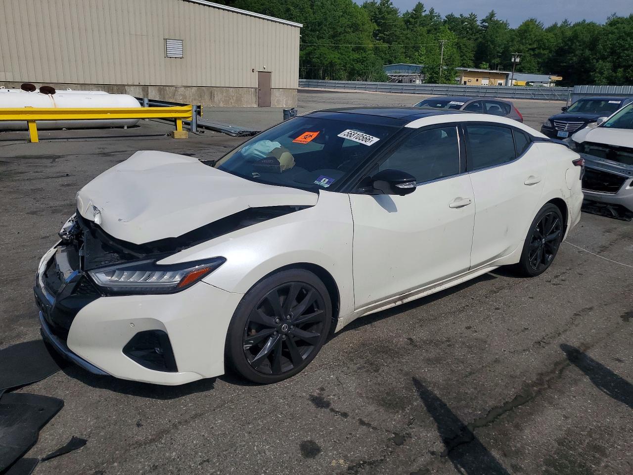 2019 Nissan Maxima 3.5 Sr White vin: 1N4AA6AV0KC375649