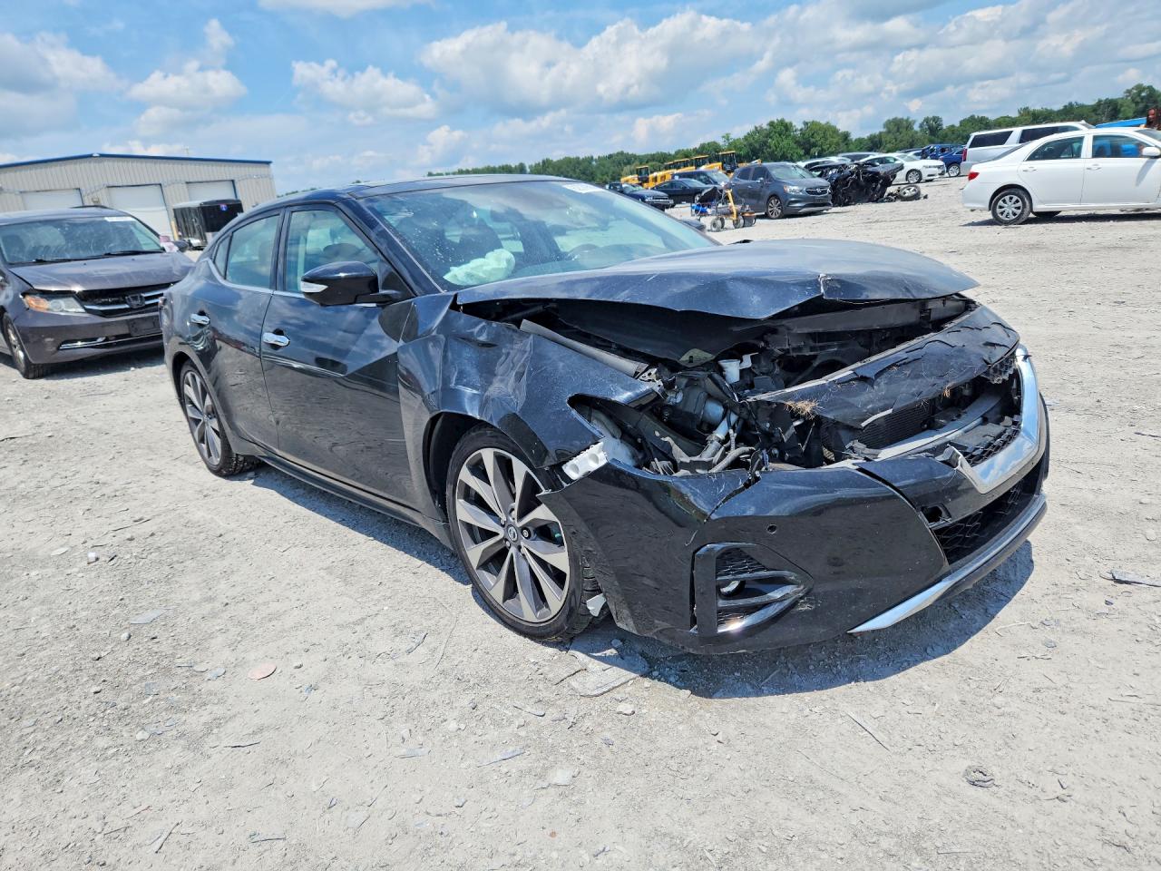2019 Nissan Maxima Platinum Black vin: 1N4AA6AV1KC362585