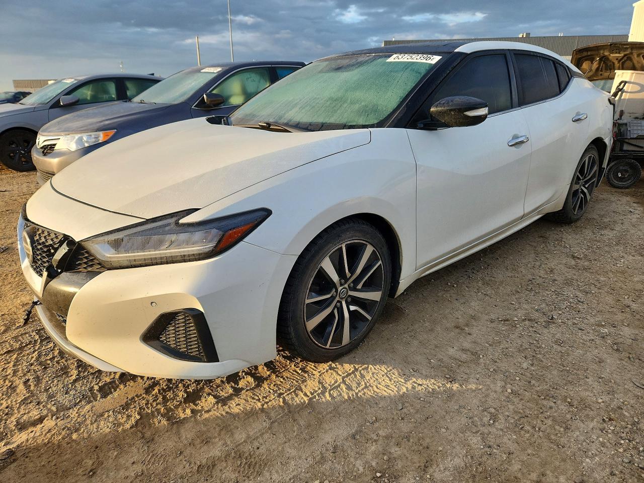 2019 Nissan Maxima 3.5 S Белый vin: 1N4AA6AV3KC368999