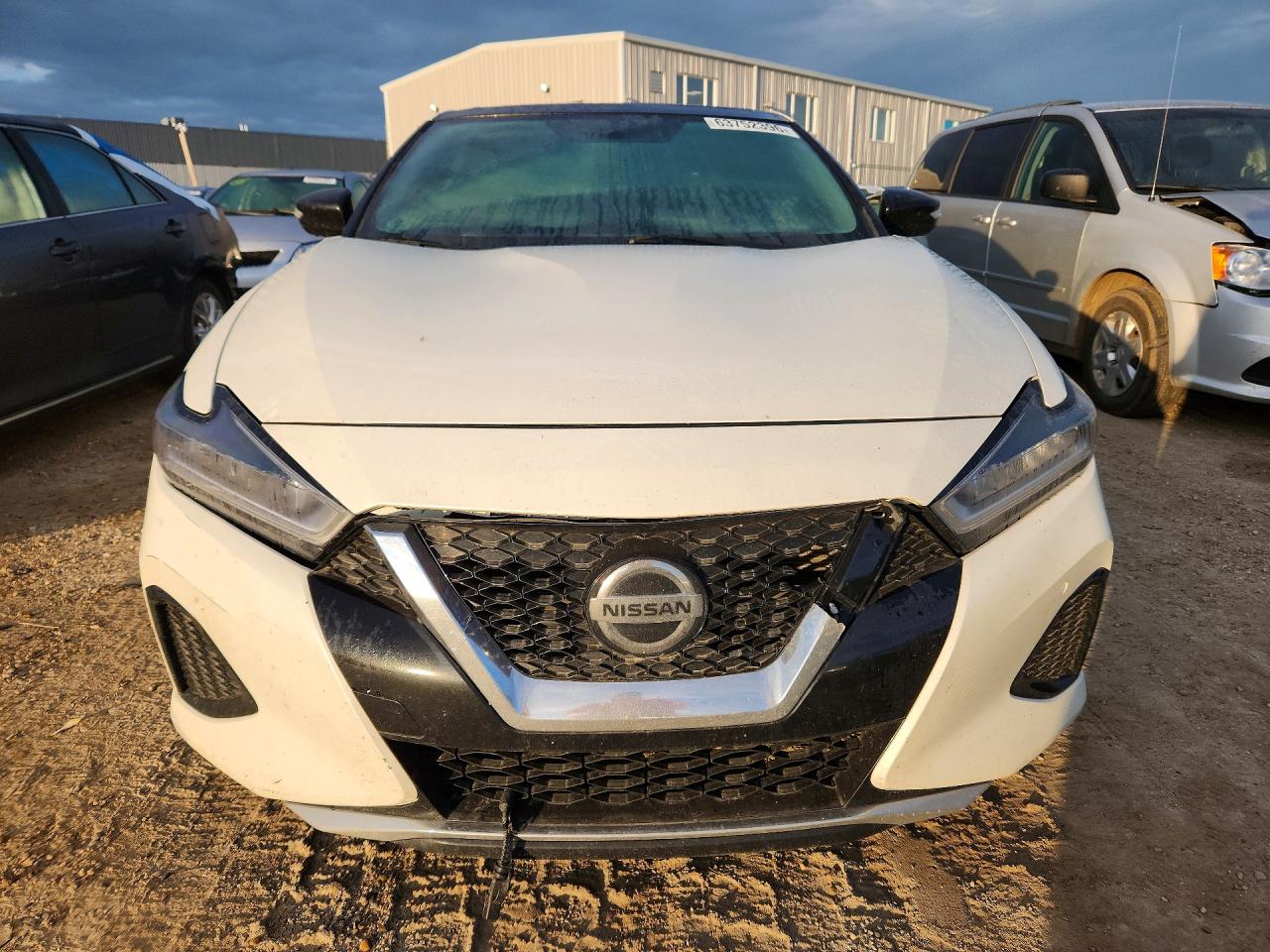 2019 Nissan Maxima 3.5 S Белый vin: 1N4AA6AV3KC368999