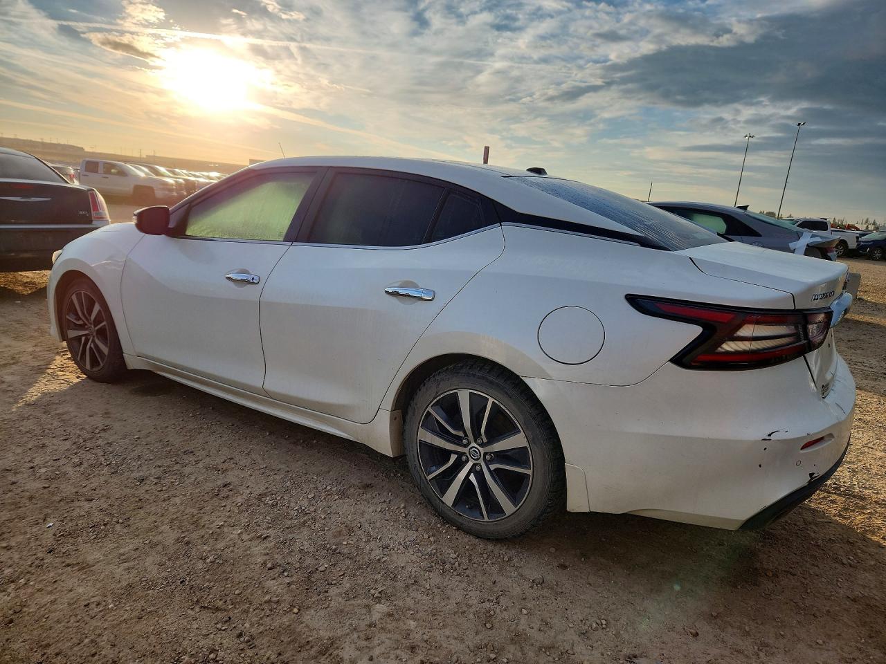 2019 Nissan Maxima 3.5 S Белый vin: 1N4AA6AV3KC368999