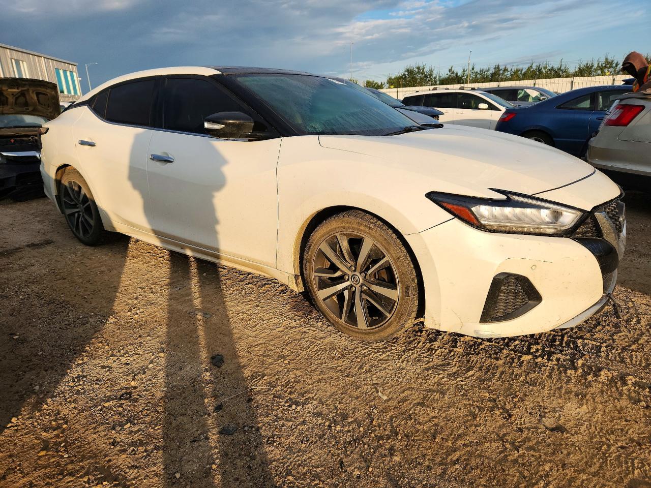 2019 Nissan Maxima 3.5 S Белый vin: 1N4AA6AV3KC368999