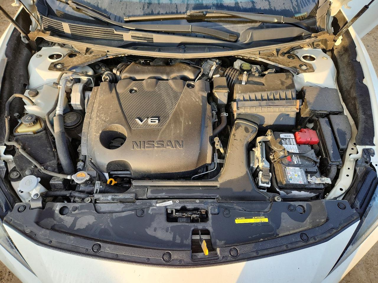 2019 Nissan Maxima 3.5 S Белый vin: 1N4AA6AV3KC368999