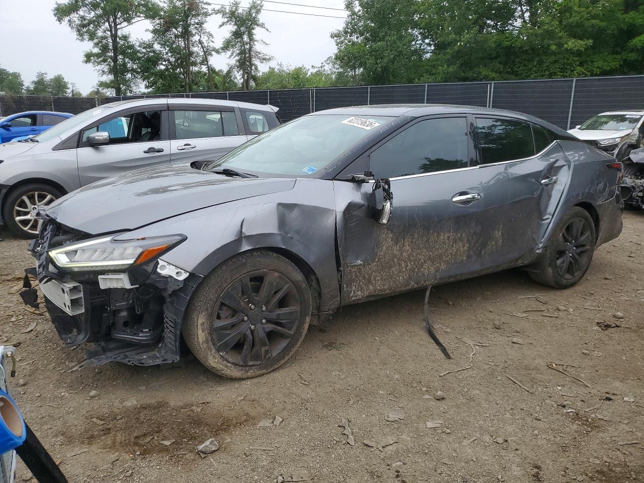 2019 Nissan Maxima 3.5 Sv Gray vin: 1N4AA6AVXKC361841