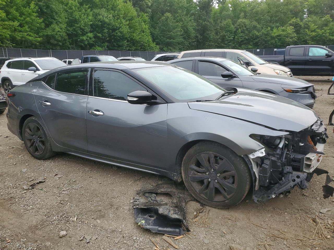 2019 Nissan Maxima 3.5 Sv Gray vin: 1N4AA6AVXKC361841