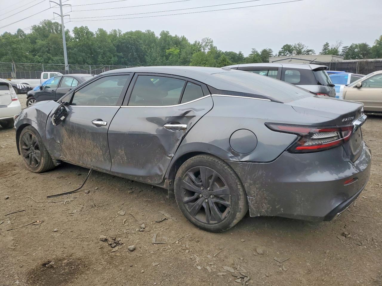 2019 Nissan Maxima 3.5 Sv Gray vin: 1N4AA6AVXKC361841